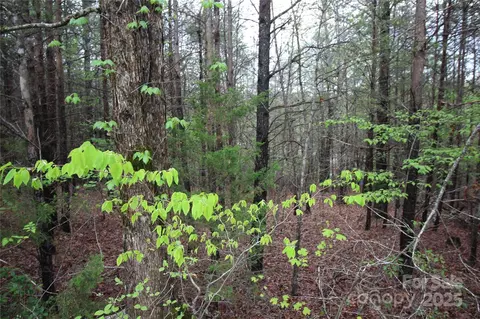 Ridge Lot 10 Way LOT 10, Marion, NC 28752