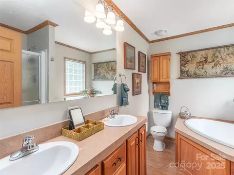 Bath - 197 Caring Place Loop, Clyde, NC 28721 photo 1 of 3