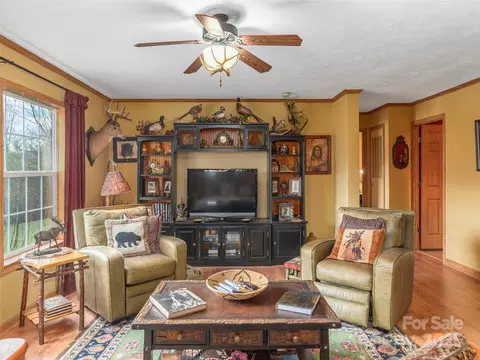 Living - 197 Caring Place Loop, Clyde, NC 28721 photo 1 of 4