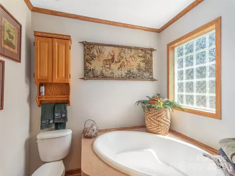 Bath - 197 Caring Place Loop, Clyde, NC 28721 photo 2 of 3