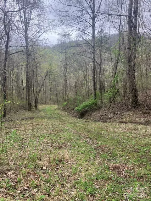 9999 Davidson Gap Rd, Leicester, NC 28748