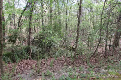 0 Hickory Nut Cir, Monroe, NC 28112 photo 5