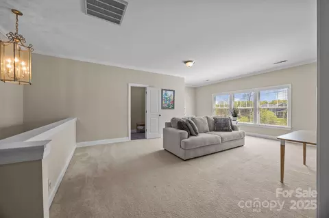 Other - 12614 Robert Walker Dr, Davidson, NC 28036 photo 8 of 16