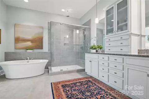 Bath - 164 Riverstone Dr, Davidson, NC 28036 photo 2 of 4