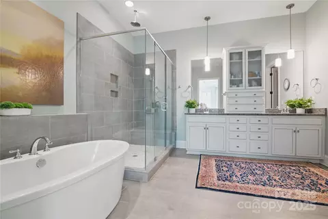 Bath - 164 Riverstone Dr, Davidson, NC 28036 photo 1 of 4