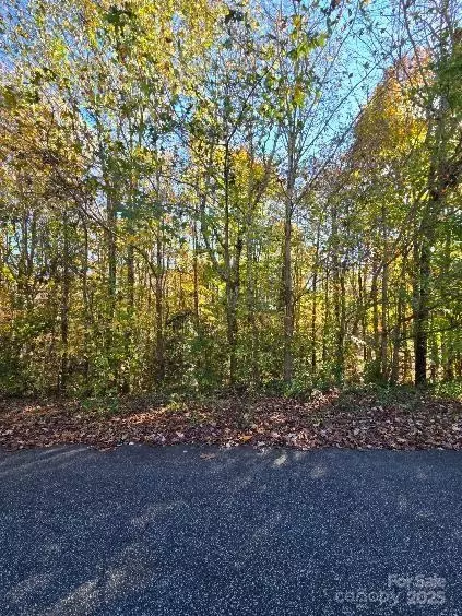 0 Brave 98 97 Ave #98 & 97, Maiden, NC 28650
