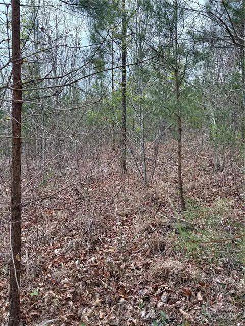 0 Rose Hollow Tract 2 Dr #TRACT 2, Mill Spring, NC 28756