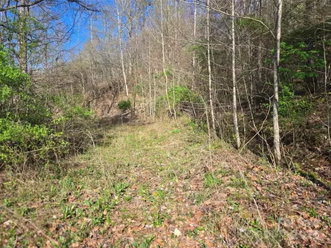 1418 Caney Fork Rd, Cullowhee, NC 28723 photo 10