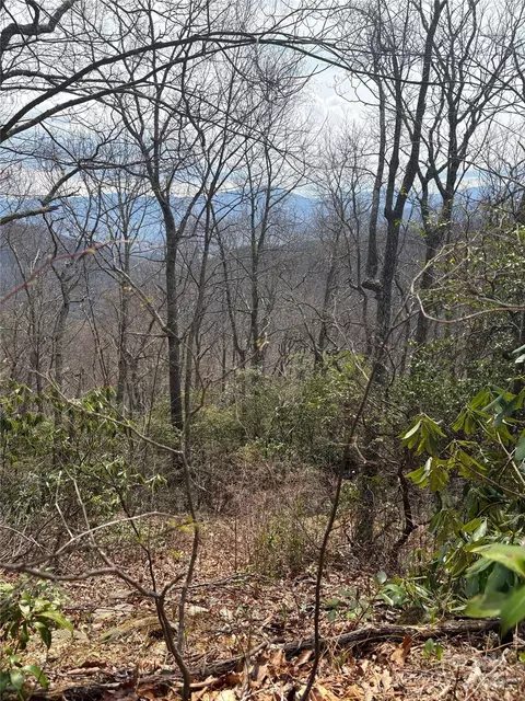 Running Deer 287 Trail #287, Waynesville, NC 28786