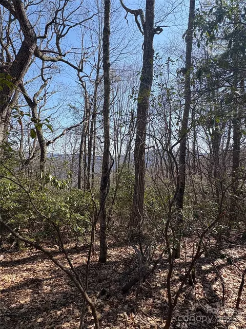 24 Leatherwood Road #24B, Maggie Valley, NC 28751