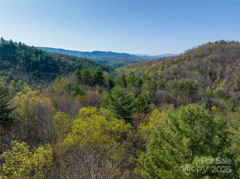 Alf Branch Drive, Marble, NC 28905