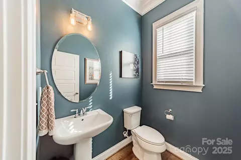 Other - 15133 Rocky Bluff Loop, Davidson, NC 28036 photo 3 of 20