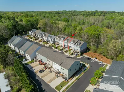 View/Area - 15133 Rocky Bluff Loop, Davidson, NC 28036 photo 1 of 2