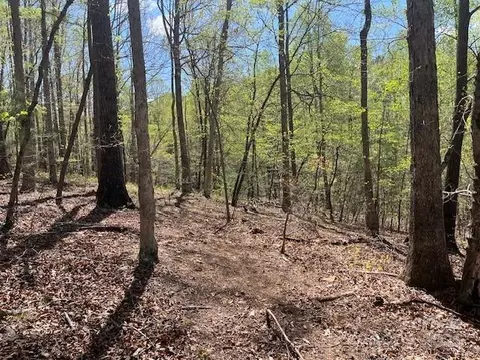 Other - 1600 Whitesides Rd, Mill Spring, NC 28756 photo 7 of 7