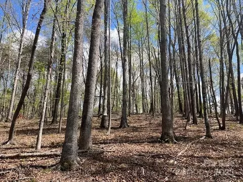 Other - 1600 Whitesides Rd, Mill Spring, NC 28756 photo 3 of 7