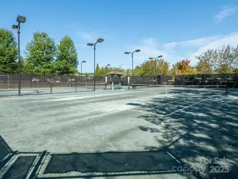 43014 Mimosa Ct, Indian Land, SC 29707 photo 33