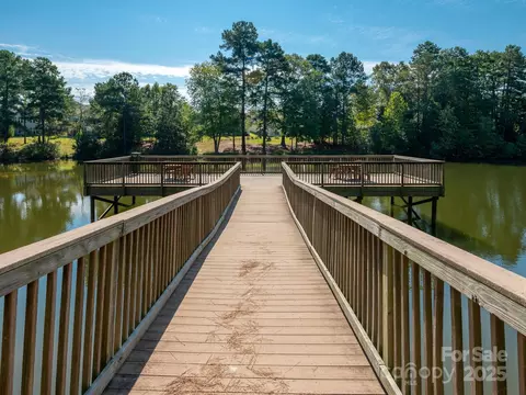 43014 Mimosa Ct, Indian Land, SC 29707 photo 29
