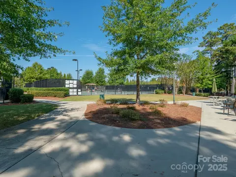43014 Mimosa Ct, Indian Land, SC 29707 photo 32