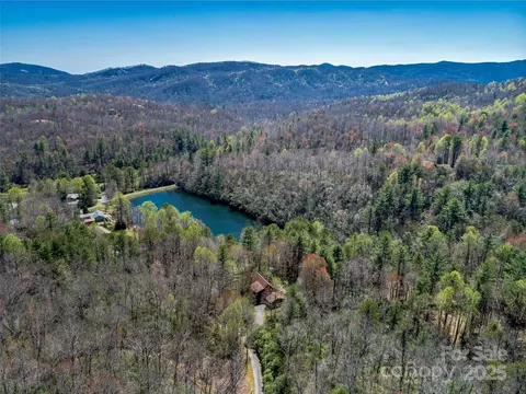 167 Harbor Cv, Brevard, NC 28712 photo 46