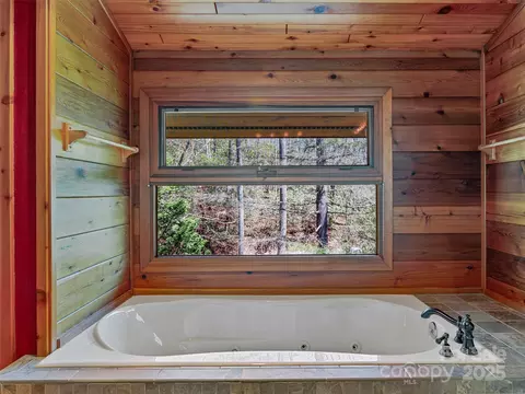 167 Harbor Cv, Brevard, NC 28712 photo 33