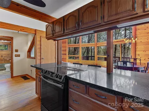 167 Harbor Cv, Brevard, NC 28712 photo 21