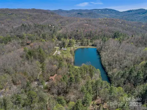 167 Harbor Cv, Brevard, NC 28712 photo 45