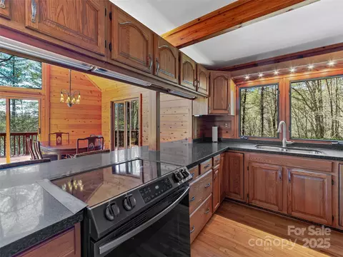 167 Harbor Cv, Brevard, NC 28712 photo 19