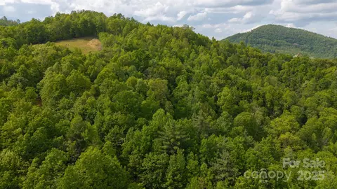 Treadway Ridge 1 Drive #1, Moravian Falls, NC 28654
