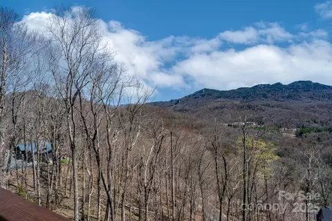 150 Squirrel Corn Ln, Sugar Mountain, NC 28604 photo 4