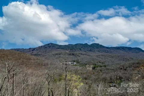 150 Squirrel Corn Ln, Sugar Mountain, NC 28604 photo 3