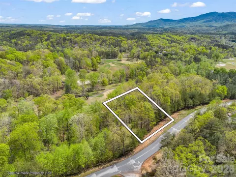 112 Deep Gap Farm E Rd E, Mill Spring, NC 28756 photo 3