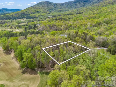 112 Deep Gap Farm E Rd E, Mill Spring, NC 28756 photo 2