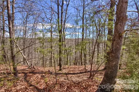 00 N Boundary 5152 Rd #51/52, Mill Spring, NC 28756