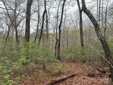 Country Acres Drive, Old Fort, NC 28762
