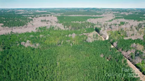 511 Moses Rd, Ridgeway, SC 29130 photo 10