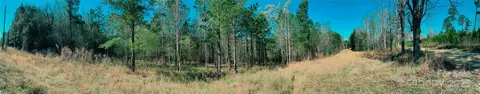 511 Moses Rd, Ridgeway, SC 29130 photo 20