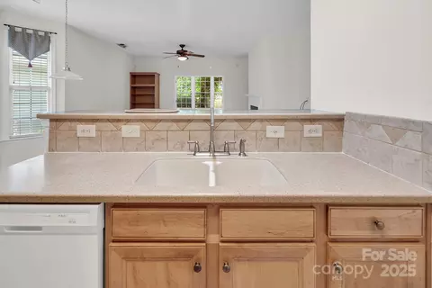 923 Platinum Dr, Fort Mill, SC 29708 photo 13