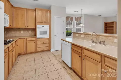923 Platinum Dr, Fort Mill, SC 29708 photo 10