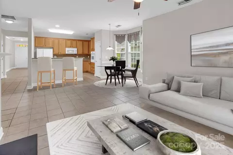 923 Platinum Dr, Fort Mill, SC 29708 photo 8