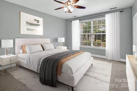 923 Platinum Dr, Fort Mill, SC 29708 photo 19
