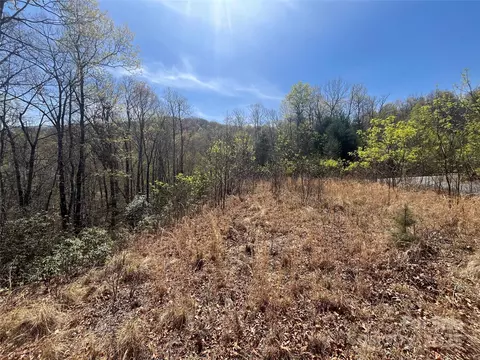 32 Wild Iris Rd, Brevard, NC 28712 photo 8