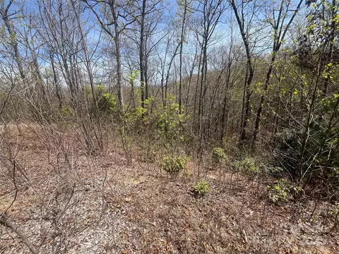 32 Wild Iris Rd, Brevard, NC 28712 photo 6