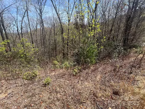 32 Wild Iris Rd, Brevard, NC 28712 photo 7