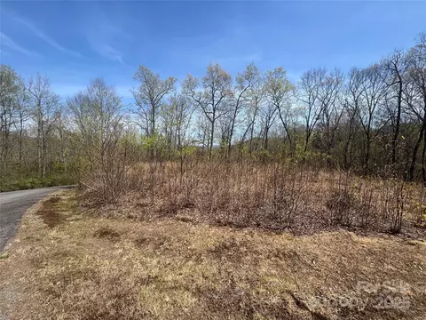 32 Wild Iris Rd, Brevard, NC 28712 photo 5