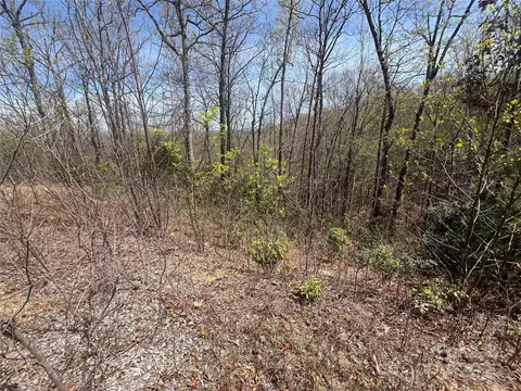 32 Wild Iris Rd, Brevard, NC 28712 photo 3