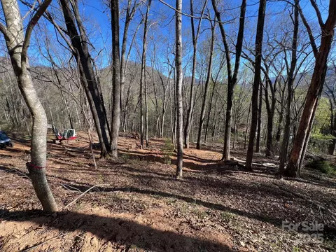 0 Little Creek Dr, Canton, NC 28716
