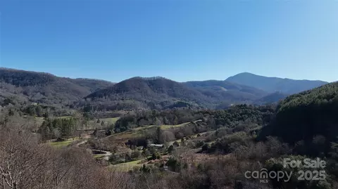 26 Hawthorne Draw Trl, Canton, NC 28716