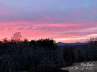 Other - 177 Fowler Rd, Mill Spring, NC 28756 photo 20 of 22