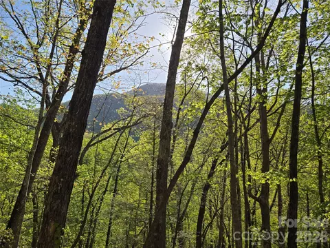 Spanarkel Lane, Lake Lure, NC 28746