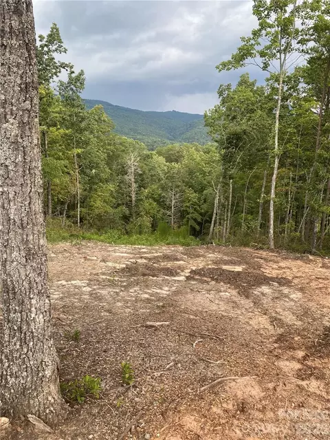 Other - 1 Jackson Ridge Ln, Mill Spring, NC 28756 photo 1 of 11